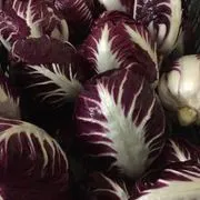 Radicchio rosso Verona